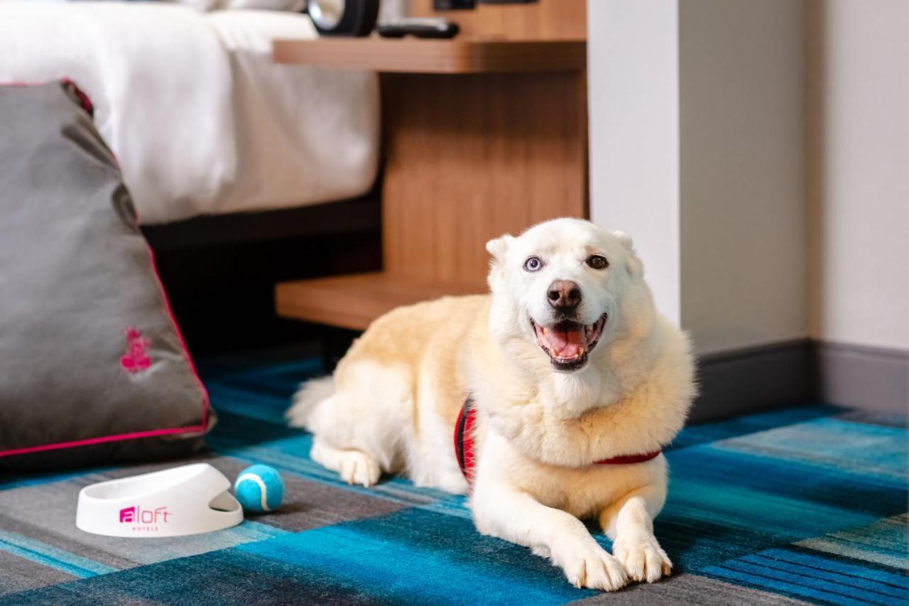 Aloft Hotel Calgary University Екстер'єр фото